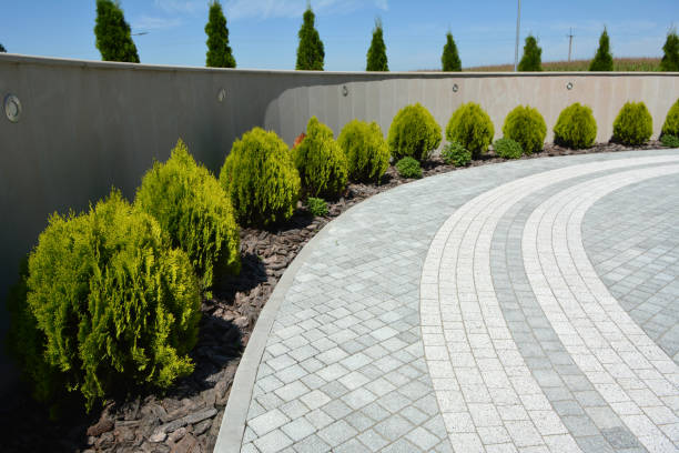 Best Affordable Driveway Paving  in Belle, WV